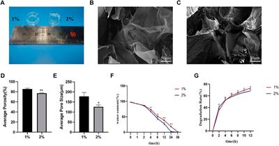 Salvianolic acid B combined with bone marrow mesenchymal stem cells piggybacked on HAMA hydrogel re-transplantation improves intervertebral disc degeneration